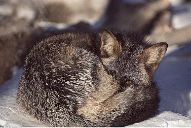 手绘插画风解谜游戏《人生画廊》现已在Steam平台发售